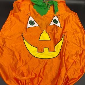 Girls Rubies Kids OS Vintage Pumpkin Pie Jack O Lantern Costume Dress Halloween